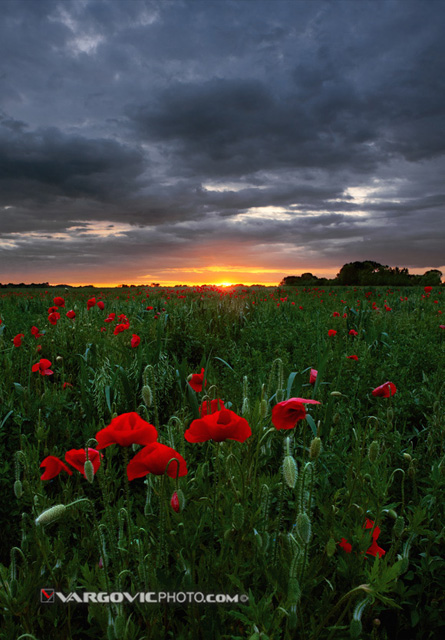The-Light-At-The -Edge-Of-The- World_Podravina_Croatia_By-Boris-Vargovic-Fine-Art-Photography